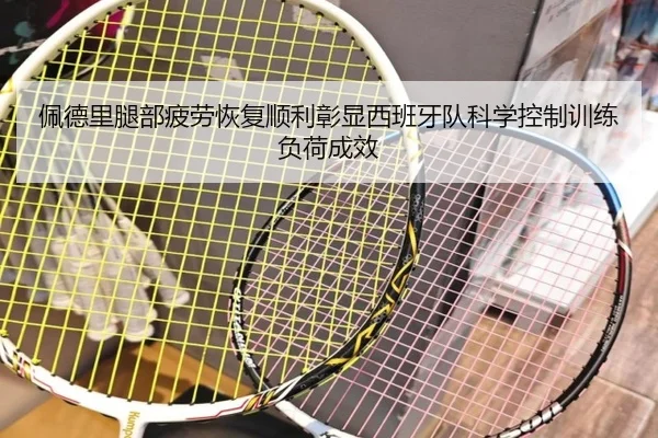 佩德里腿部疲劳恢复顺利彰显西班牙队科学控制训练负荷成效
